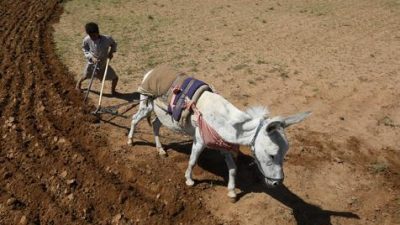 En Latinoamérica la economía rural se practica bajo el estigma de la pobreza