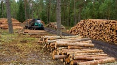 Santo Tomé, Corrientes: Advierten caída de ventas por precios tras las fronteras