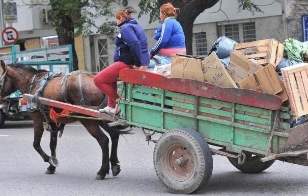Impulsan proyecto para erradicación de carros de tracción animal en La Rioja