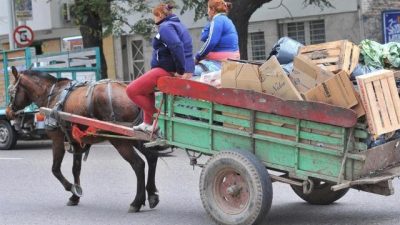 Impulsan proyecto para erradicación de carros de tracción animal en La Rioja