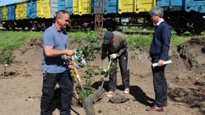 Villa Gobernador Gálvez elimina minibasurales y crea espacios verdes