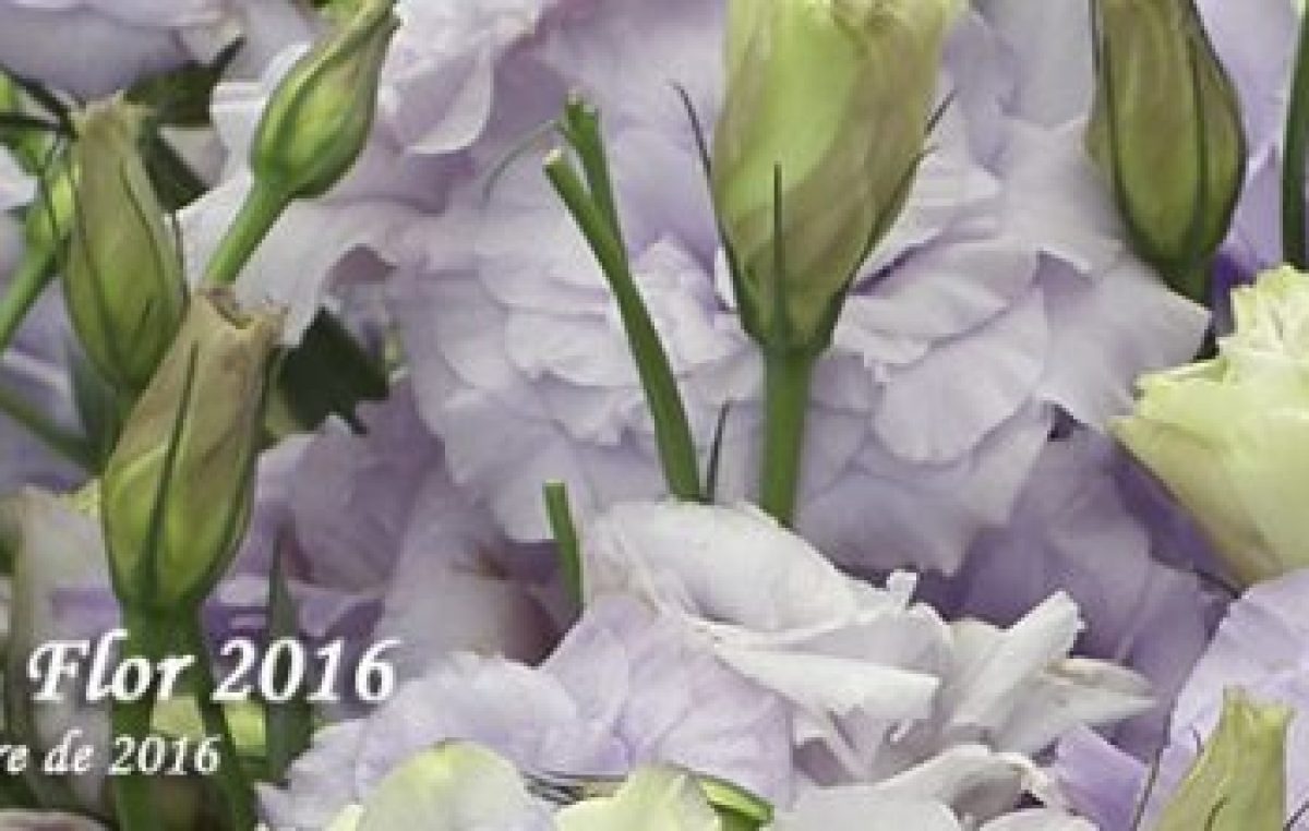 Fiesta Nacional de la Flor 2016, Escobar, Del 24 de septiembre al 10 de octubre