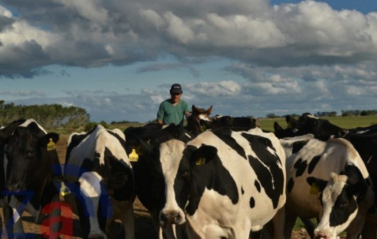 La mala leche de las economías regionales
