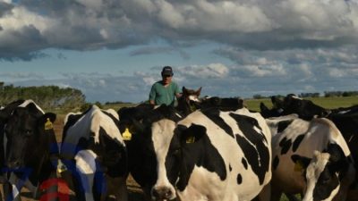 La mala leche de las economías regionales