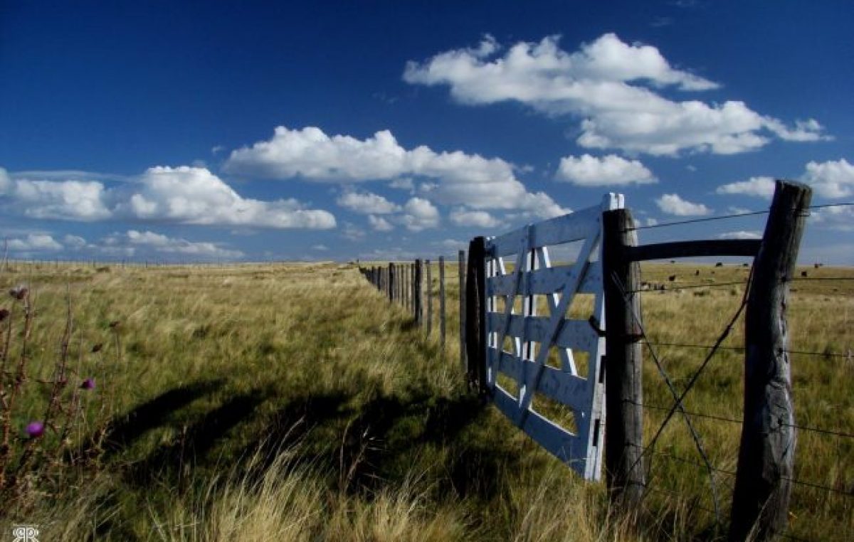 Santa Fe: Piden derogar el decreto que reemplazó la ley de tierras rurales