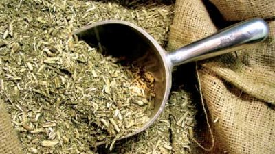 Misiones: Crecen las importaciones de yerba mate proveniente de Brasil
