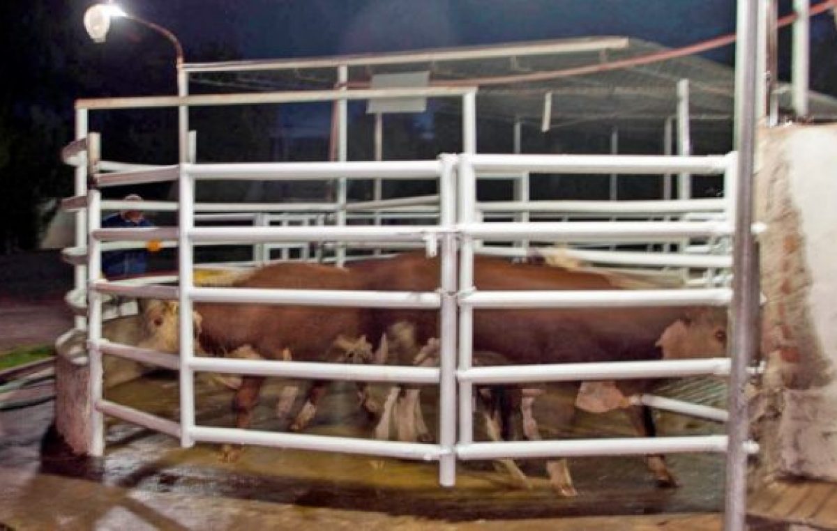 El matadero no paga sueldos y volvería a manos del Municipio de Centenario