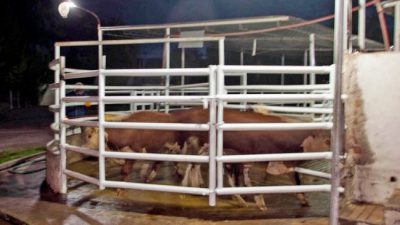 El matadero no paga sueldos y volvería a manos del Municipio de Centenario