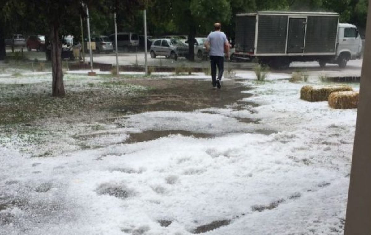 Mendoza: El granizo desató otra «tormenta» en el Valle de Uco