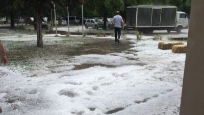 Mendoza: El granizo desató otra «tormenta» en el Valle de Uco