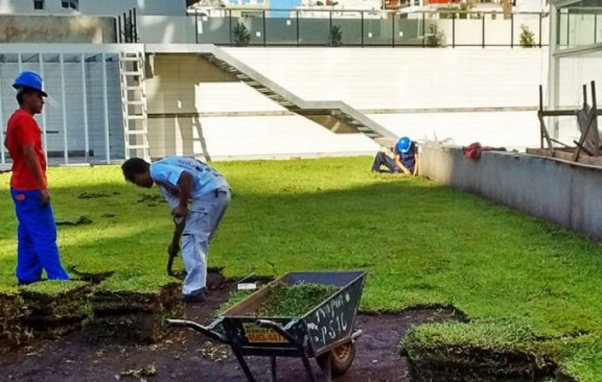 Neuquén: Ya se diseñan los edificios con terrazas verdes