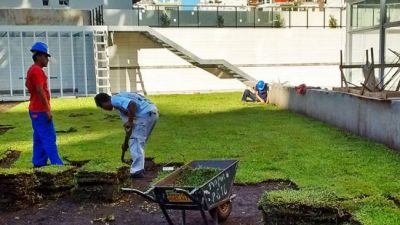Neuquén: Ya se diseñan los edificios con terrazas verdes