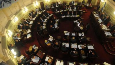 Santa Fe: Media sanción a favor de la autonomía municipal