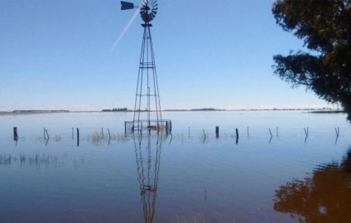 Guerra del agua: Rivadavía y Carlos Casares podrían entrar en conflicto por los canales clandestinos