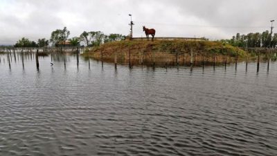 Estiman $1.000 millones de pérdidas agropecuarias por las inundaciones en Florentino Ameghino