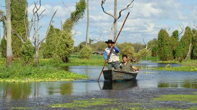 Bañado La Estrella, un valioso santuario de vida silvestre