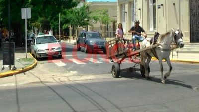 Por ordenanza, quedó prohibida la tracción a sangre animal en Paraná
