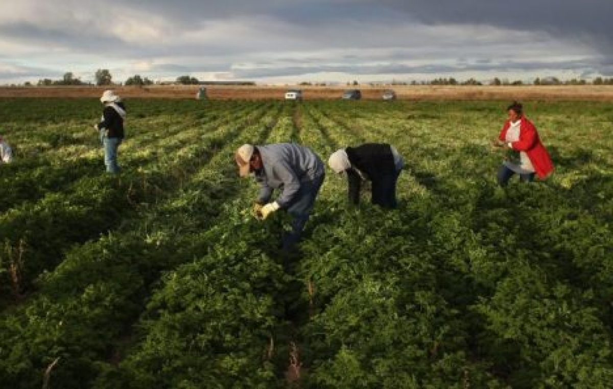 Los peones rurales siguen con los peores ingresos