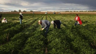 Los peones rurales siguen con los peores ingresos