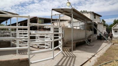 Centenario reactiva su matadero y piensa en la economía local