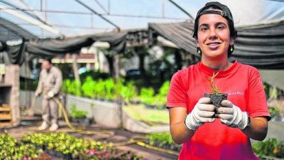 Rosario: Viveros que hacen plantines e incluyen a personas con discapacidad