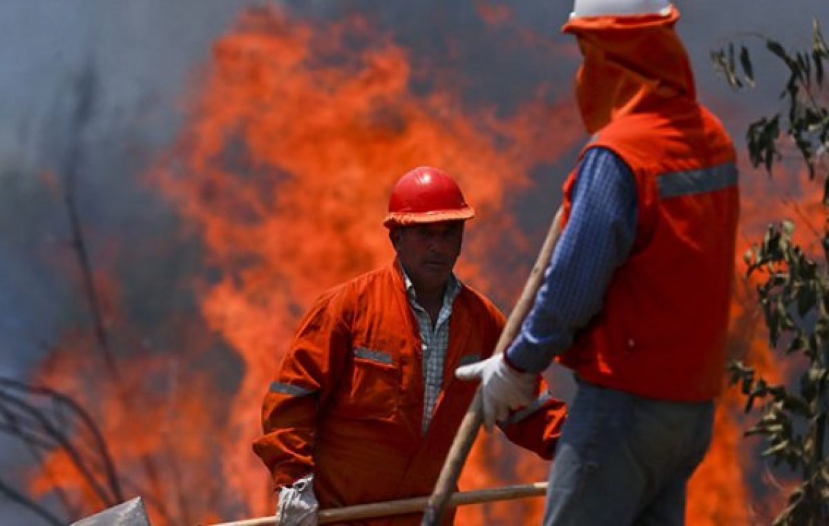 Importantes incendios provocaron el mayor desastre forestal de la historia de Chile