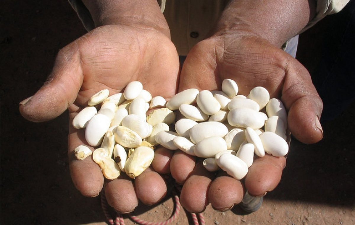Más de 30 localidades entrerrianas ya firmaron el convenio para el reempadronamiento en Políticas Alimentarias