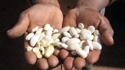 Más de 30 localidades entrerrianas ya firmaron el convenio para el reempadronamiento en Políticas Alimentarias