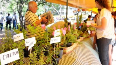 Rosario Emprende brindó apoyo a 1.500 rosarinos