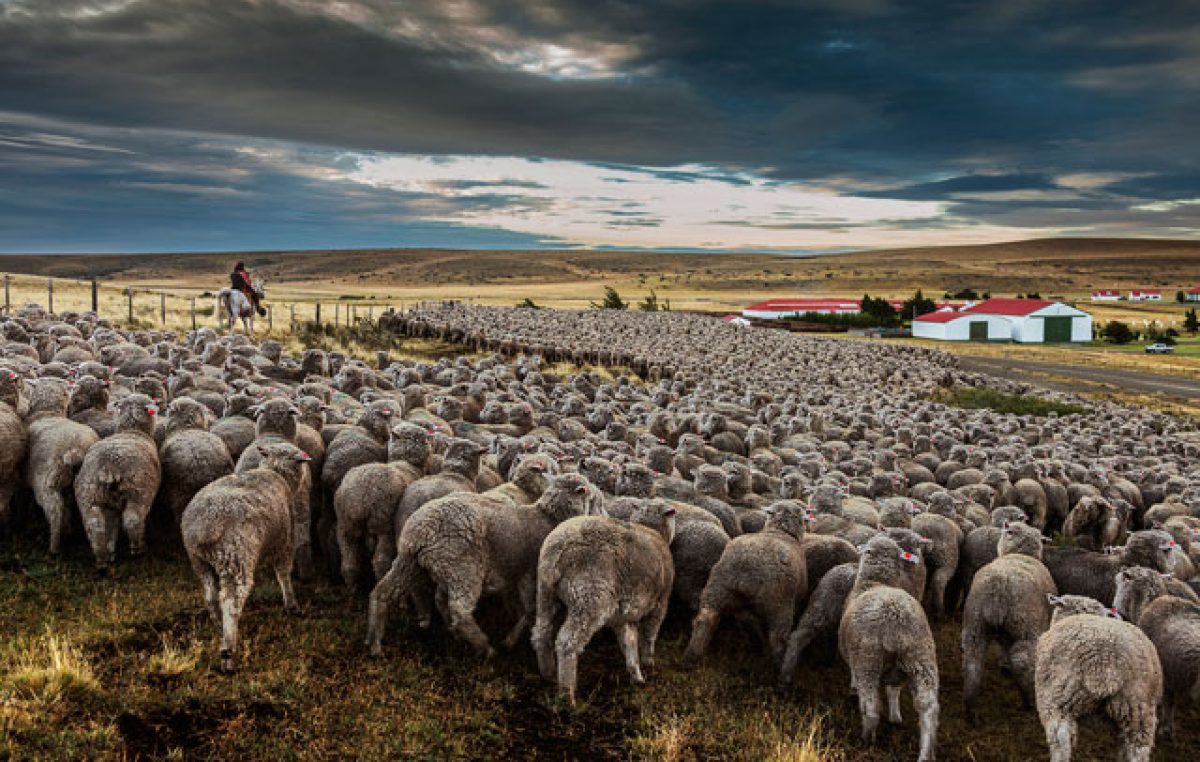 Se profundiza la concentración de la tierra en la Argentina