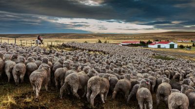 Se profundiza la concentración de la tierra en la Argentina