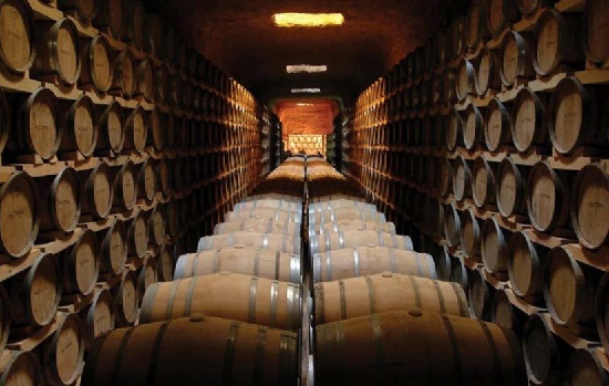 Según el INV, en 10 años San Juan perdió 41 bodegas y un 10% de sus pequeños productores