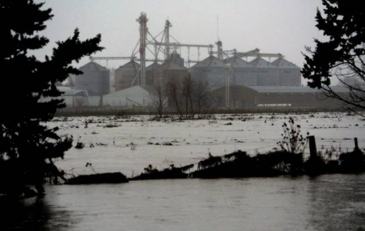 “Es tanta la inundación que el agua brota del asfalto”