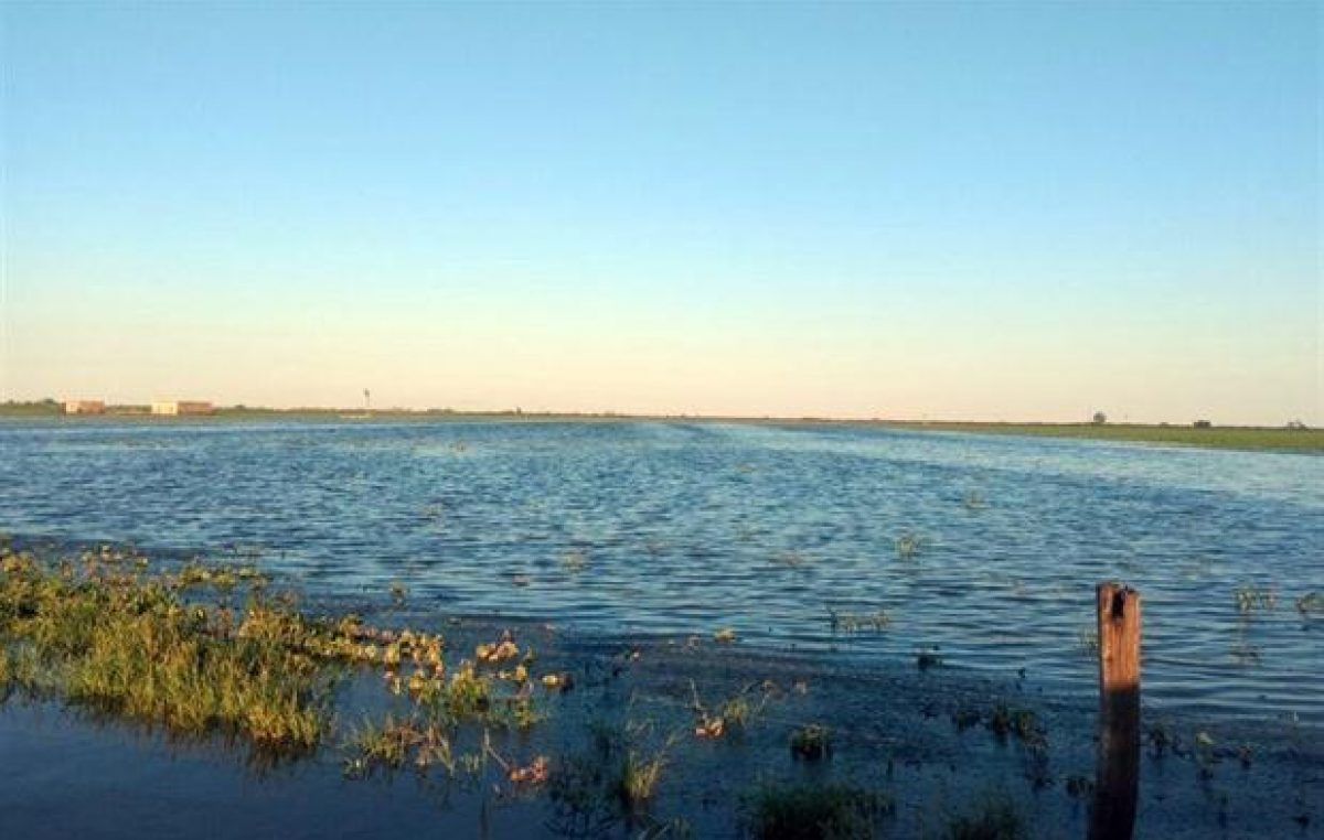 Por las inundaciones, anuncian el «cierre» de un pueblo tambero de Santa Fe