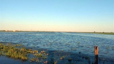 Por las inundaciones, anuncian el «cierre» de un pueblo tambero de Santa Fe