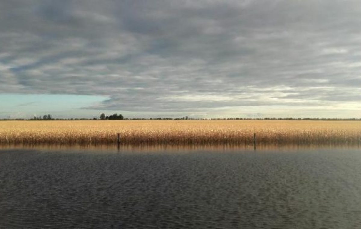 Inundaciones le cuestan al campo santafesino U$S 1.100 millones