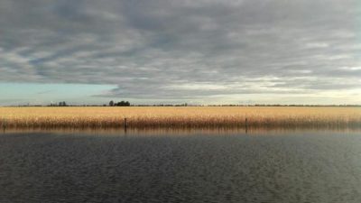 Inundaciones le cuestan al campo santafesino U$S 1.100 millones