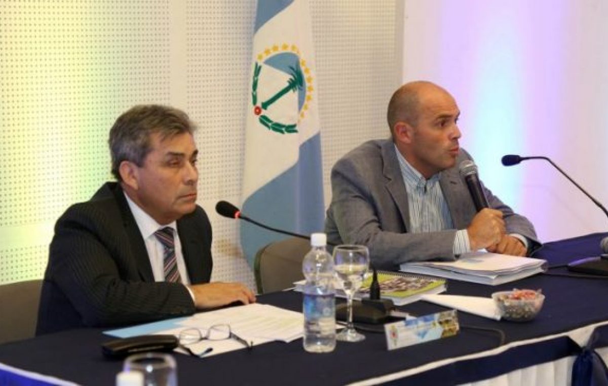 Centenario quiere armar su propia economía social
