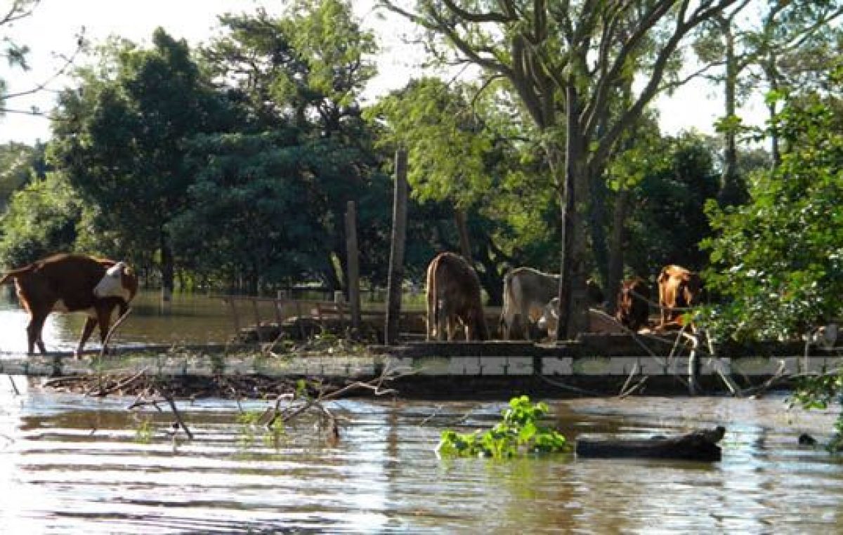 Fondos de ATN para municipios chaqueños afectados por inundaciones