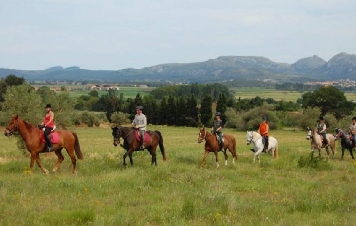 Piden eximir de impuestos a las inversiones turísticas en pueblos rurales bonaerenses