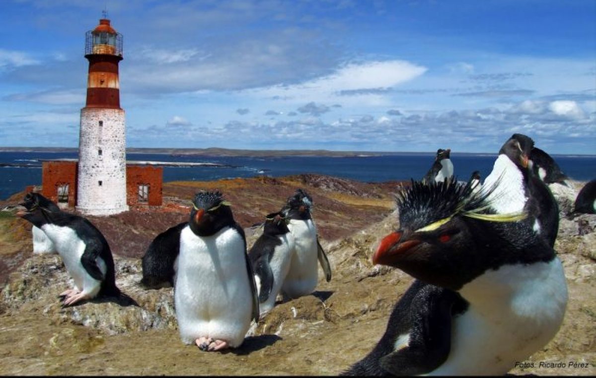 Un paseo por los parques de Patagonia