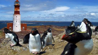 Un paseo por los parques de Patagonia