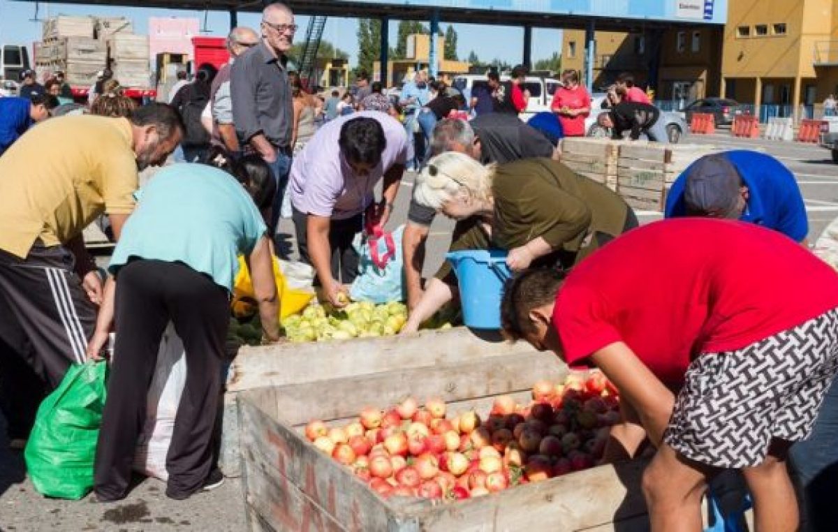 Crisis. La fruta en el valle pasa su peor momento