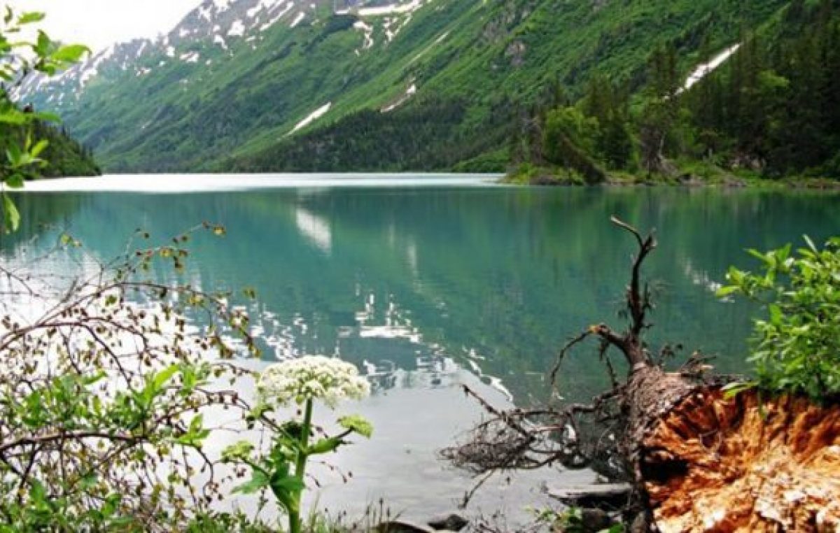 El Bolson: Una expedición desafía al «okupa» Joe Lewis en la Patagonia