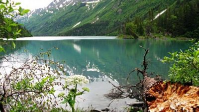 El Bolson: Una expedición desafía al «okupa» Joe Lewis en la Patagonia