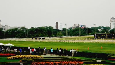 La Justicia frenó el polémico intento de Posse de vender parte del predio del Hipódromo de San Isidro