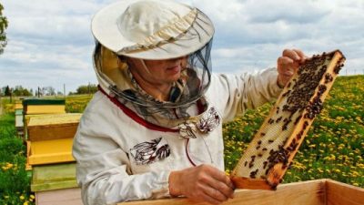 Catriel trabaja en la diversificación de la economía local