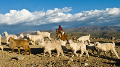 Norte neuquino: Viaje por la increíble Ruta 54