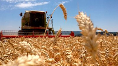 Un modelo agropecuario para pocos