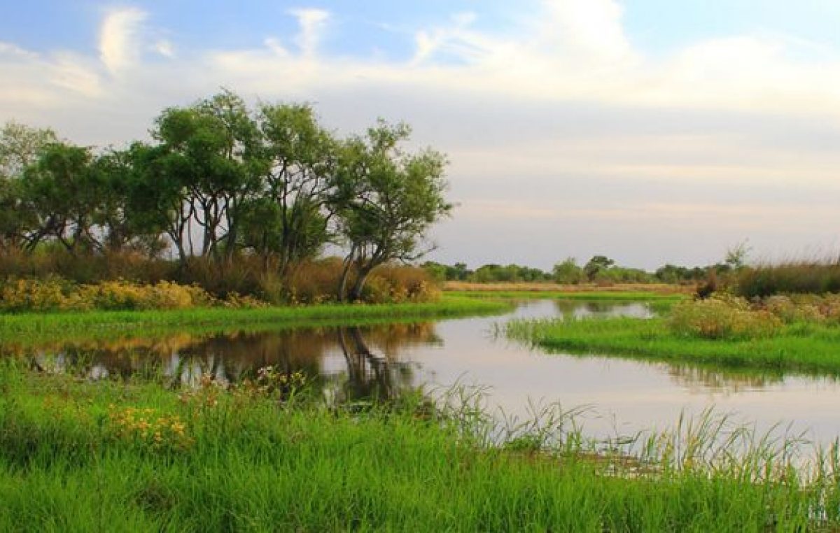 Crearon la Reserva Natural Urbana de Diamante en terrenos del ex Regimiento